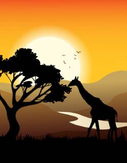 Fissure in Sandstone